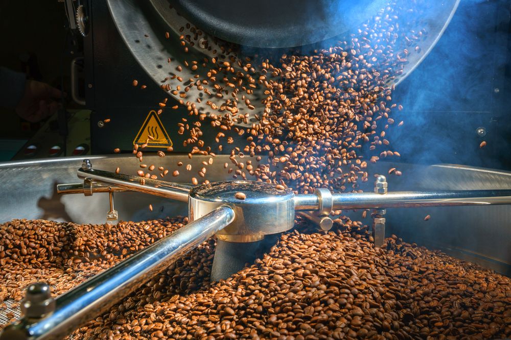 Coffee beans being poured from a roaster, mid-air, into a stainless steel drum.