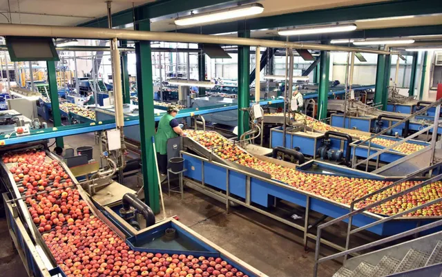 Apple Transport in a Factory